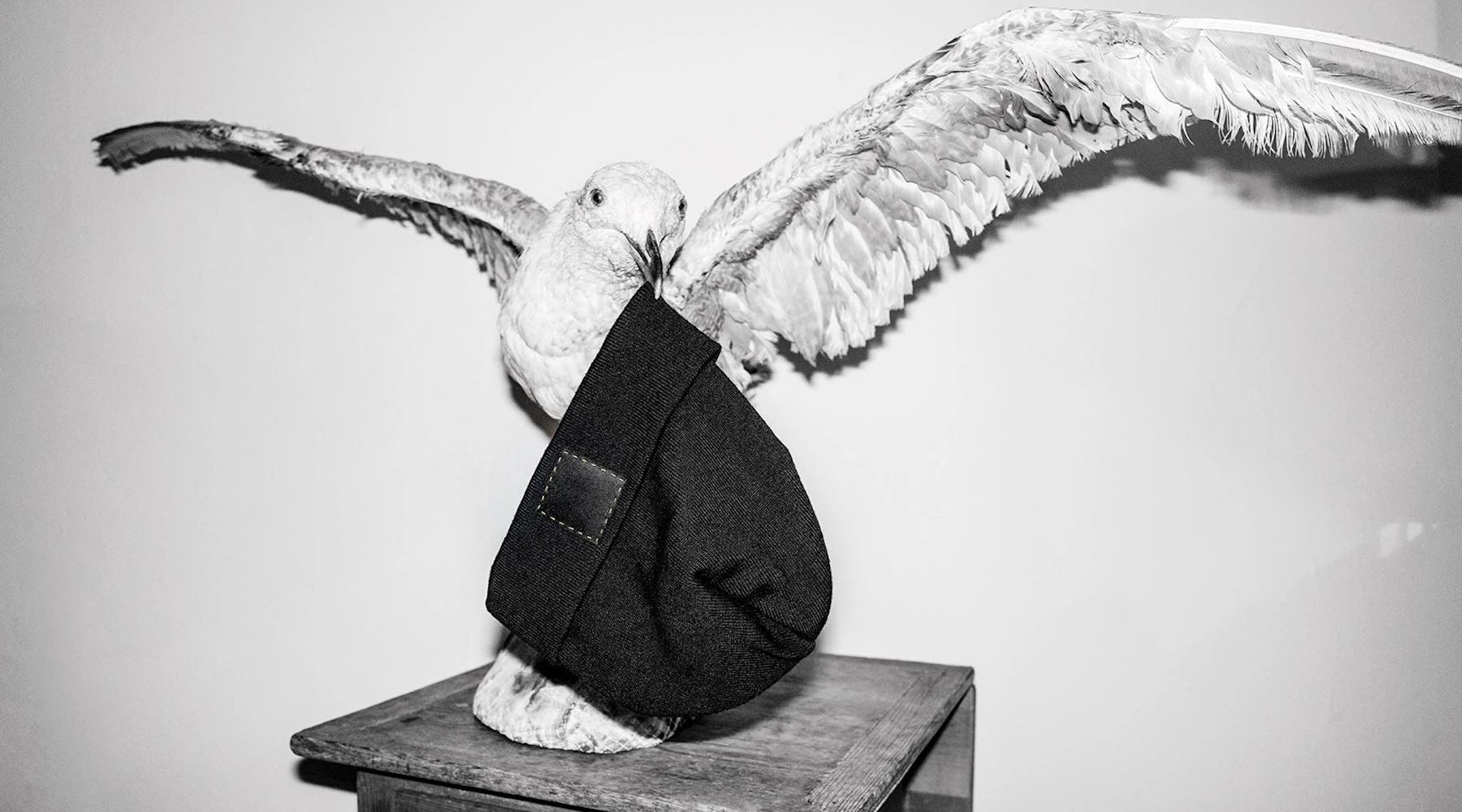 A taxidermy bird holding åäö’s Beanie in its beak, showcasing the beanie’s refined texture and unique presentation.